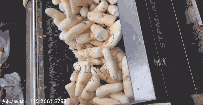 薯類去皮脫皮機