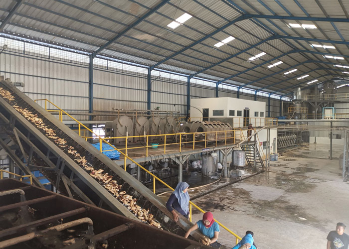 濕法木薯粉加工